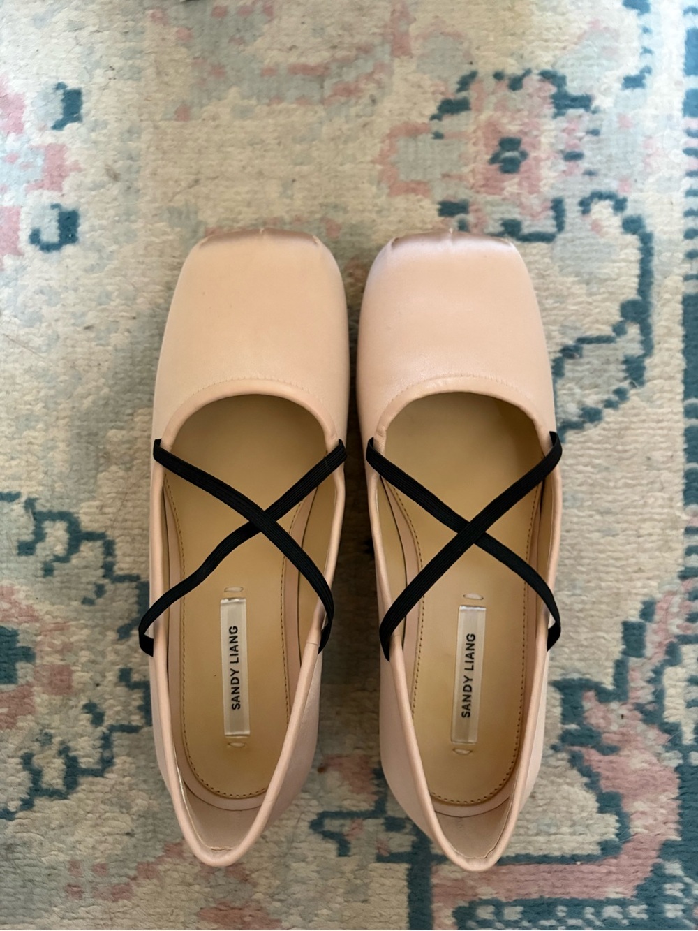 Sandy Liang Blush Ballet Flats with Black Crisscross Straps